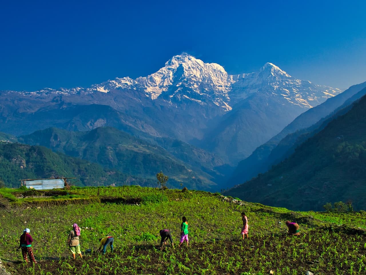 Everest Panorama Trek — 7 Days 4